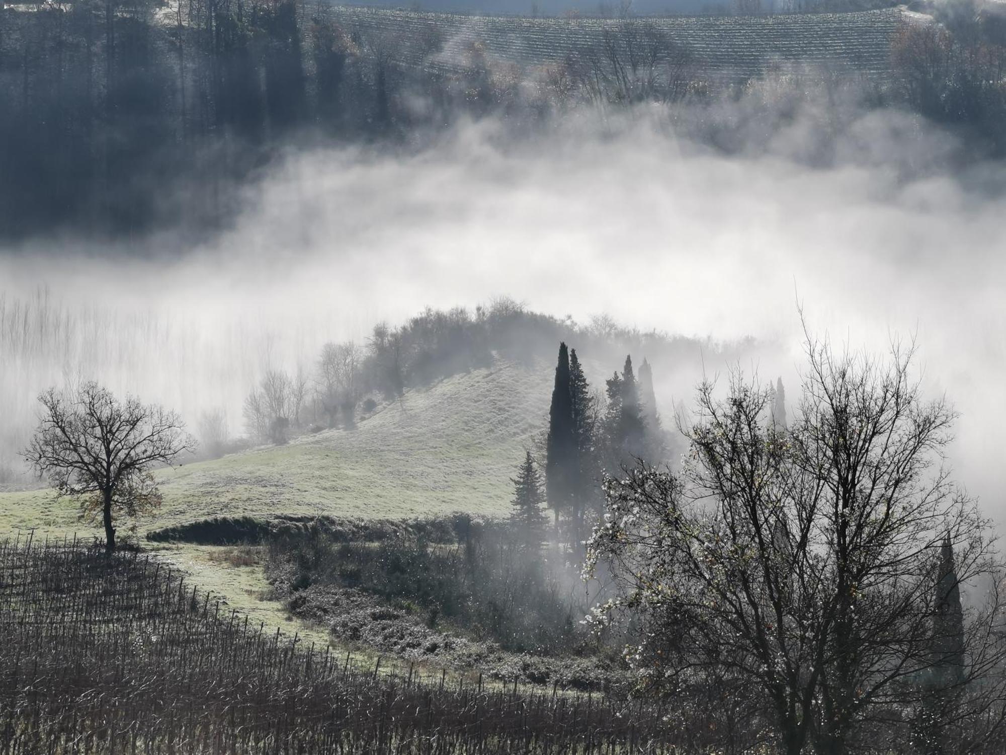 Agriturismo Bio Fattoria Bacio Certaldo Dış mekan fotoğraf