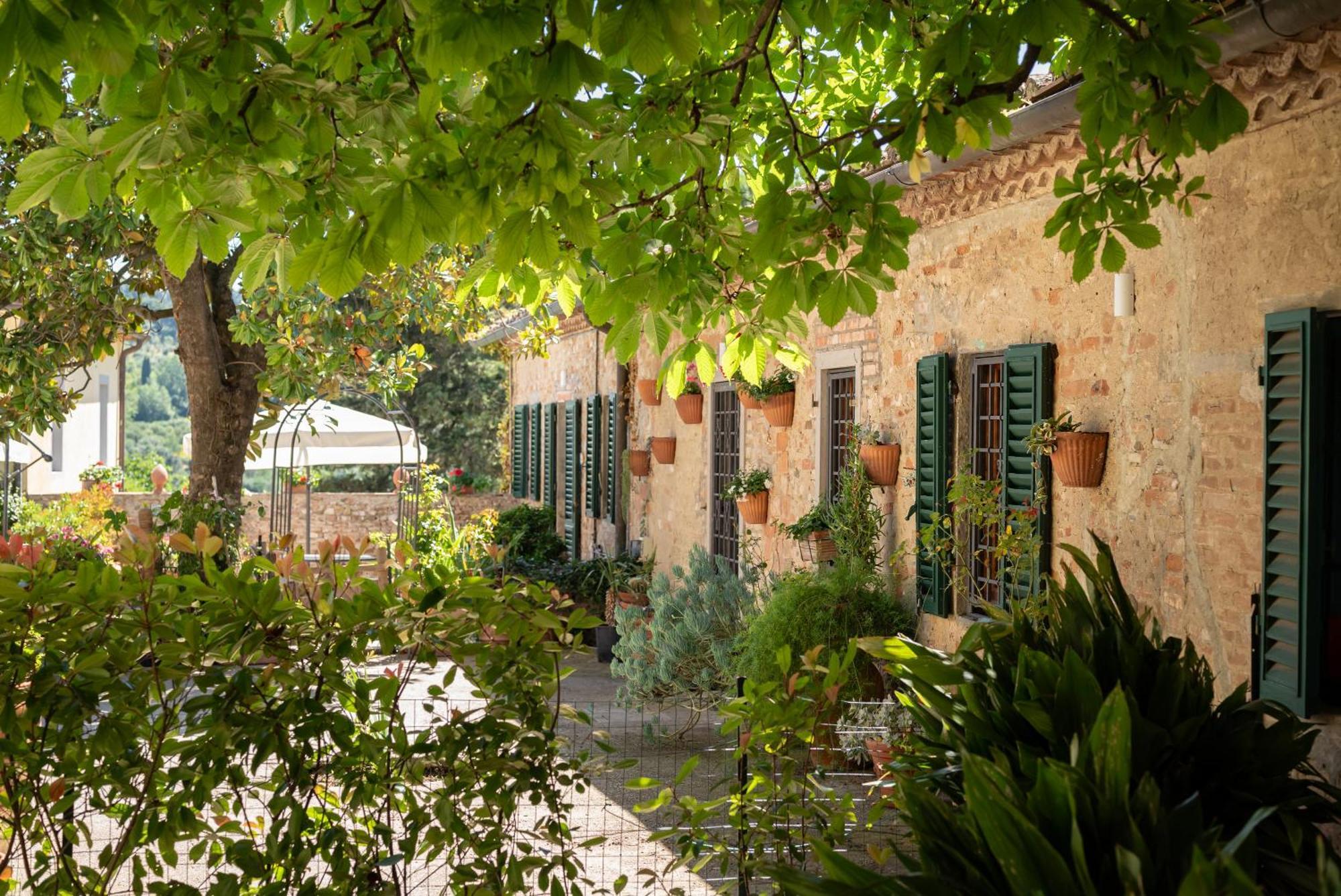 Agriturismo Bio Fattoria Bacio Certaldo Dış mekan fotoğraf