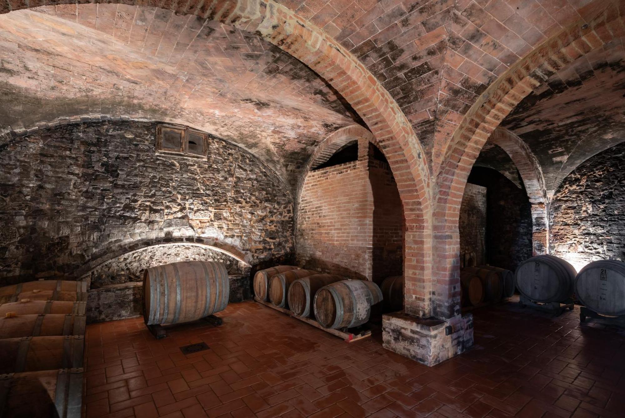 Agriturismo Bio Fattoria Bacio Certaldo Dış mekan fotoğraf