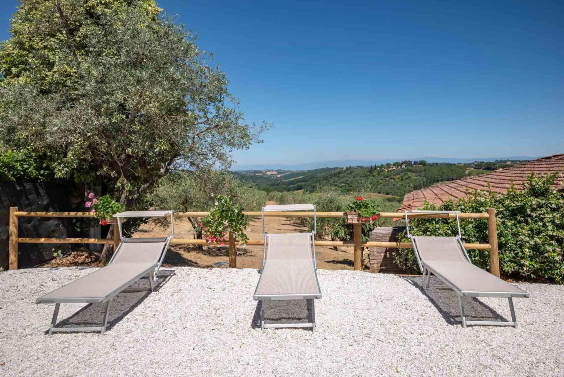Agriturismo Bio Fattoria Bacio Certaldo Dış mekan fotoğraf